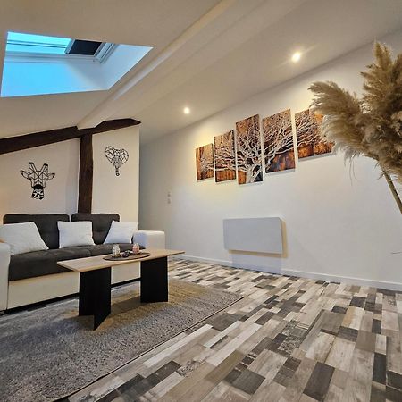 Joli Appartement Mansarde ドシーズ エクステリア 写真